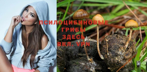mix Липки