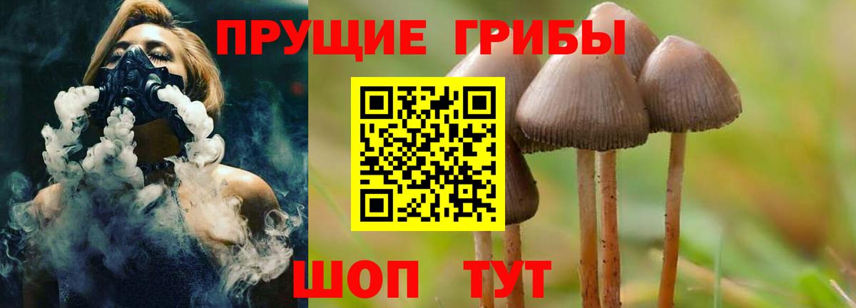 Ялуторовск  Псилоцибиновые грибы GOLDEN TEACHER  Вход с VPN  Псилоцибиновые грибы Psilocybe 